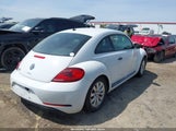 VOLKSWAGEN BEETLE #PINKBEETLE/1.8T CLASSIC/1.8T S 3VWF17AT6HM621306 fotografie