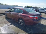 HONDA ACCORD LX 1HGCR2F31DA139037 снимка