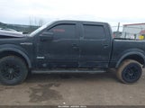 FORD F-150 FX4 1FTFW1ET1EFC06479 снимка