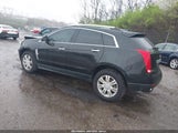 CADILLAC SRX LUXURY COLLECTION 3GYFNAEY4AS649868 снимка