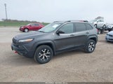 JEEP CHEROKEE TRAILHAWK 1C4PJMBS4GW167650 снимка