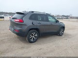 JEEP CHEROKEE TRAILHAWK 1C4PJMBS4GW167650 снимка