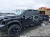 DODGE RAM 1500 SLT/SPORT/TRX 1D7RV1GT7AS216857 fotografie