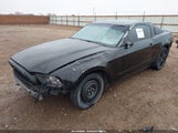 FORD MUSTANG V6 1ZVBP8AM4E5259182 fotografie