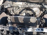RAM 1500 BIG HORN 1C6RR7TT7FS716572 снимка