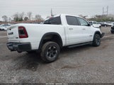 RAM 1500 REBEL 4X4 5'7 BOX 1C6SRFLT9KN550608 снимка