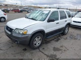 FORD ESCAPE XLT 1FMYU93155KA29131 снимка