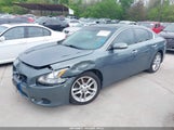 NISSAN MAXIMA 3.5 SV 1N4AA5AP1BC840905 photo