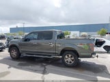 FORD F-150 XLT 1FTEW1EF7GKD44723 снимка