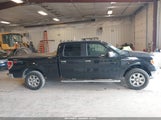 FORD F-150 XLT 1FTFW1EFXDFC91007 снимка