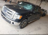FORD F-150 XLT 1FTFW1EFXDFC91007 снимка