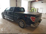 FORD F-150 XLT 1FTFW1EFXDFC91007 снимка