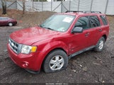FORD ESCAPE XLT 1FMCU9DG1AKA15430 снимка