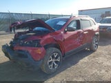 JEEP CHEROKEE TRAILHAWK 1C4PJMBS7GW339833 снимка