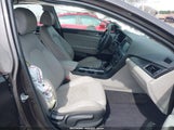 HYUNDAI SONATA SPORT 5NPE34AF9GH344513 fotografie