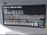 BMW M4 CSL WBS63AZ00PCL29096 снимка