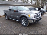 FORD F-150 XLT 1FTFW1ET8EFB75196 снимка