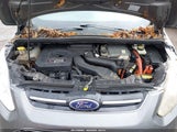 FORD C-MAX ENERGI SEL 1FADP5CU2DL510904 снимка