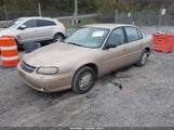 CHEVROLET MALIBU 1G1ND52J516186560 снимка
