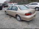 CHEVROLET MALIBU 1G1ND52J516186560 снимка