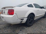 FORD MUSTANG V6 DELUXE/V6 PREMIUM 1ZVHT80NX85102213 снимка