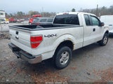FORD F-150 STX/XL/XLT 1FTEX1E85AKC18141 fotografie