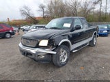 FORD F-150 LARIAT/XL/XLT 2FTRX18L62CA55295 photo
