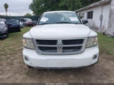 DODGE DAKOTA ST 1D7RE2BK5BS666903 снимка