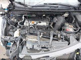 HONDA CR-V LX 2HKRM4H30EH696032 снимка