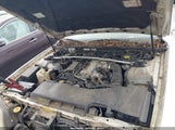 INFINITI Q45 ANNIVERSARY EDITION/TOURING JNKBY31A9YM300780 photo