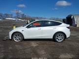 TESLA MODEL Y LONG RANGE DUAL MOTOR ALL-WHEEL DRIVE 5YJYGDEE9MF239726 photo