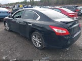 NISSAN MAXIMA 3.5 SV 1N4AA51E99C853541 снимка