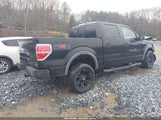 FORD F-150 FX4/HARLEY-DAVIDSON/KING RANCH/LARIAT/PLATINUM/XL/XLT 1FTFW1EV5AFC01572 снимка