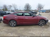 NISSAN MAXIMA 1N4AA6AP7HC379093 photo