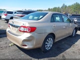 TOYOTA COROLLA LE 2T1BU4EE7CC808753 снимка