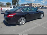 NISSAN MAXIMA 3.5 SV 1N4AA5AP3BC811423 снимка