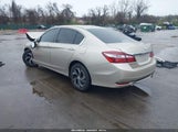 HONDA ACCORD LX 1HGCR2F36HA189924 снимка