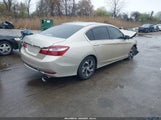 HONDA ACCORD LX 1HGCR2F36HA189924 снимка