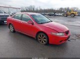 ACURA TSX JH4CL96895C027644 снимка