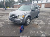 FORD ESCAPE XLT 1FMCU93Z28KC63389 снимка