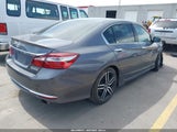 HONDA ACCORD SPORT SE 1HGCR2F11HA243919 fotografie