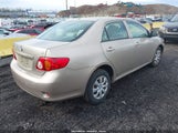 TOYOTA COROLLA LE 2T1BU40E29C181721 снимка