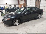 ACURA TSX JH4CL96874C028063 снимка