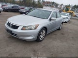 HONDA ACCORD 2.4 EX-L 1HGCP2F89AA043475 снимка