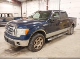FORD F-150 FX4/KING RANCH/LARIAT/PLATINUM/XL/XLT 1FTPW14V99KA90484 photo