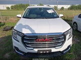 GMC TERRAIN AWD SLT 3GKALVEG1RL236918 снимка