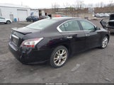 Nissan Maxima 3.5 Sv 1N4AA5APXCC817074 снимка