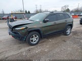 JEEP CHEROKEE TRAILHAWK 1C4PJMBS0GW148738 fotografie
