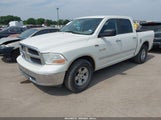 DODGE RAM 1500 SLT/SPORT/TRX 1D3HV13P49S770116 fotografie
