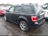 FORD ESCAPE LIMITED 1FMCU94G59KA84701 снимка